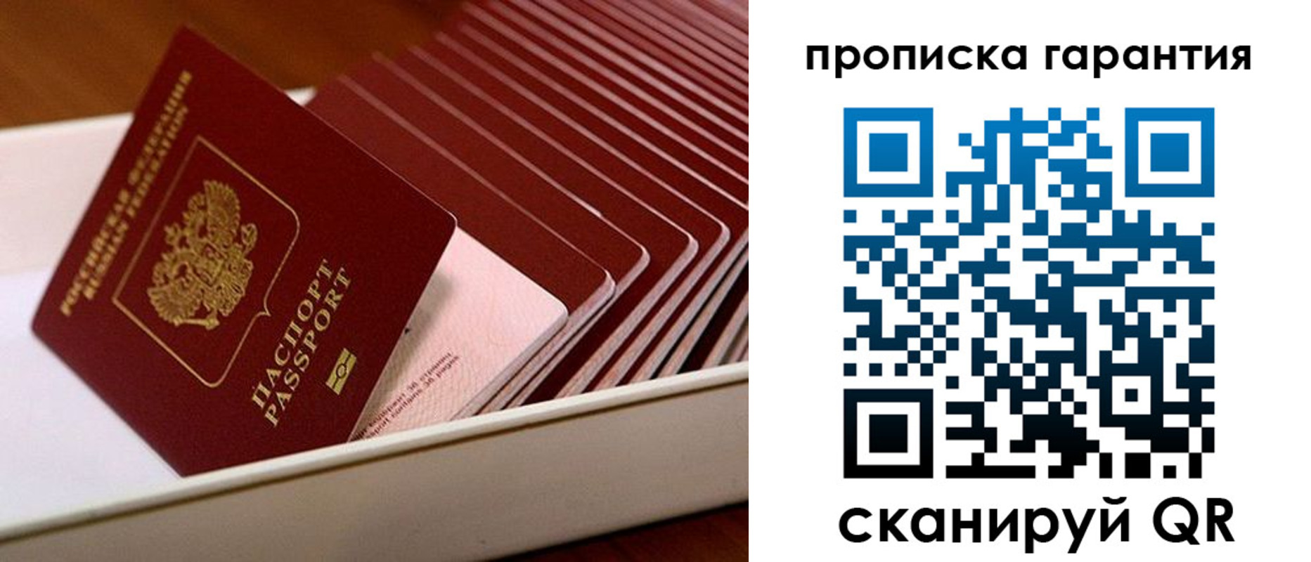 прописка поиск в Лыткарино